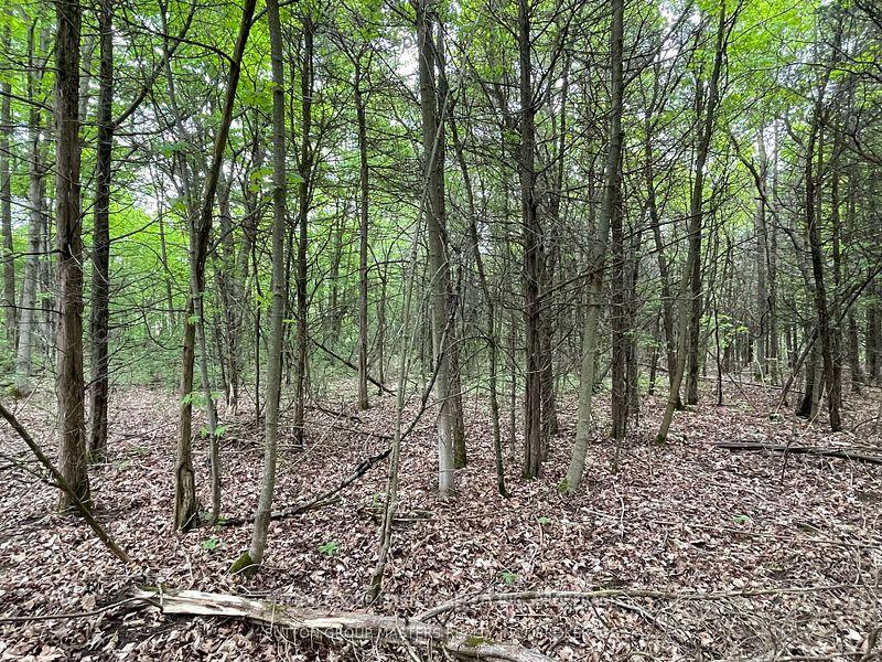 1335 JOHN F. SCOTT Road, Kingston, ON K7L 4V3