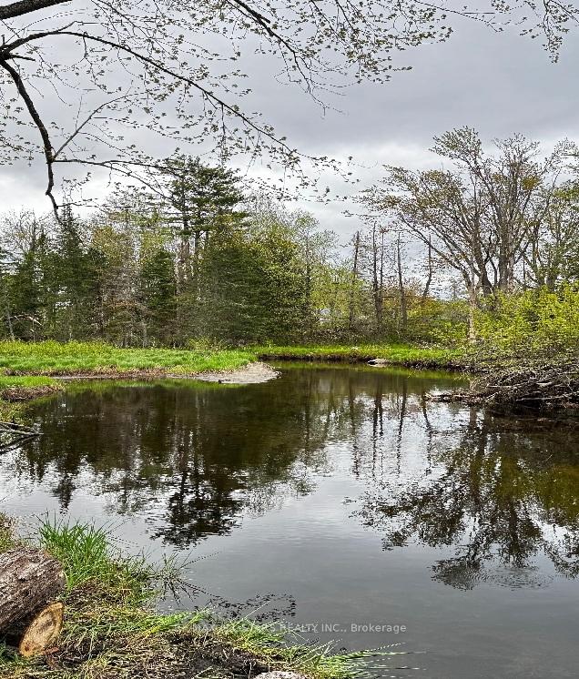 2348 Northeys Bay Road, North Kawartha, ON K0L 2H0